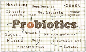 关于益生菌的插图