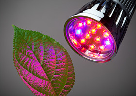 led 的成长光图片
