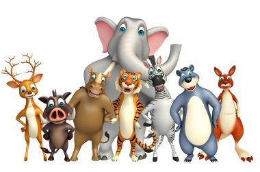 野生動(dòng)物集合的組圖片