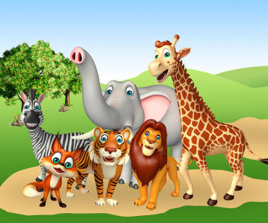 群野生動物圖片