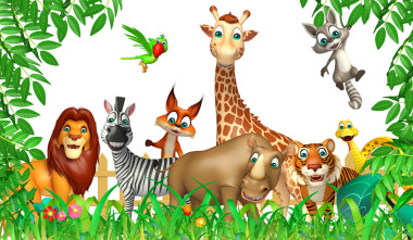 群野生动物照片