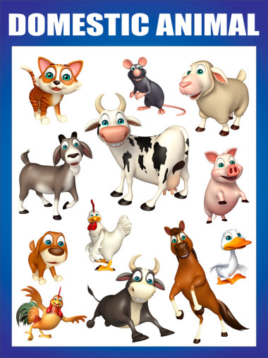 馴養(yǎng)動(dòng)物圖表
