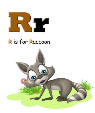 浣熊与字母表图片