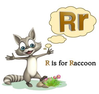 浣熊與字母表圖片