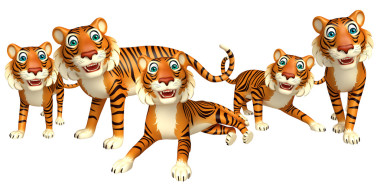 群虎集合的图片