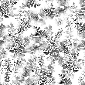 草药和鲜花 普罗旺斯