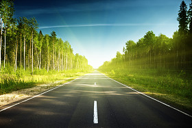 俄罗斯森林中的道路
