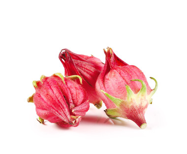 玫瑰茄孤立的白色背景上