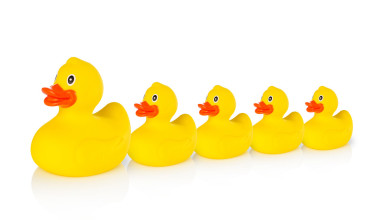 領(lǐng)先的幾個橡膠鴨媽媽橡膠鴨