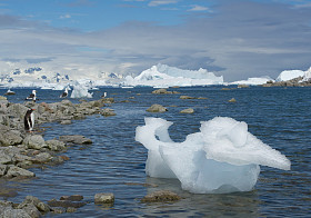 企鹅、 海鸥和冰山