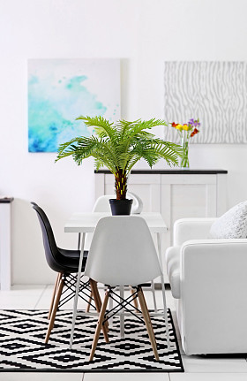 美丽舒适的现代室内图片