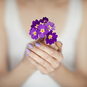 女人手中紫色手捧鲜花的美丽指甲