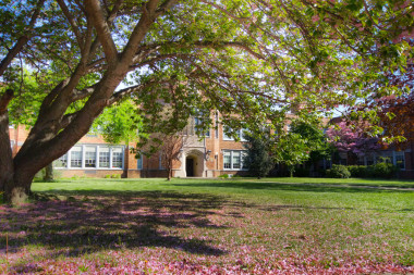 學(xué)校在春天