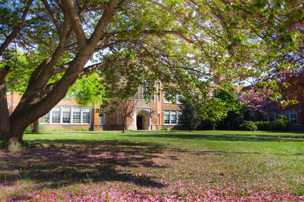 学校在春天 学校在春天