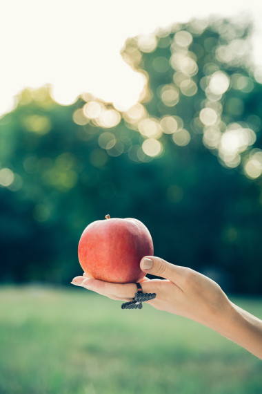 拿蘋果的女性手圖片