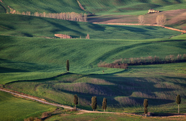 在意大利的托斯卡納，早春圖片