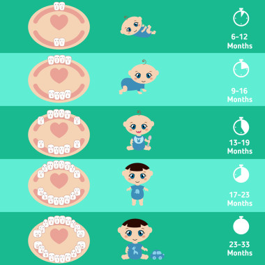婴儿出牙图表图片