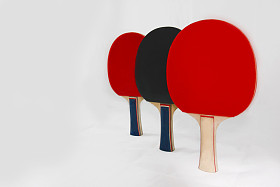 乒乓球蝙蝠图片