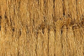 干稻草纹理背景照片