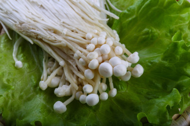 日本传统的金针菇