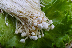 日本传统的金针菇