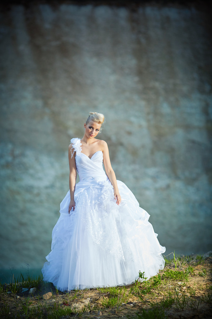 年轻貌美的新娘 年轻貌美的新娘