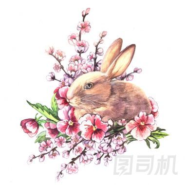 水彩復(fù)活節(jié)兔子與花照片