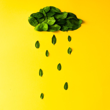 綠葉在雨云的形狀.