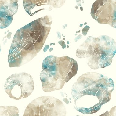 溫柔夢幻般的貝殼圖片