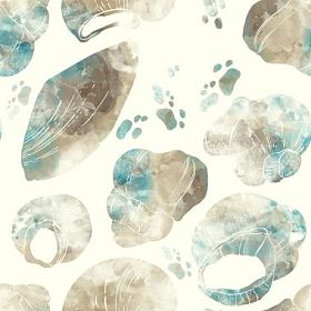 温柔梦幻般的贝壳图片