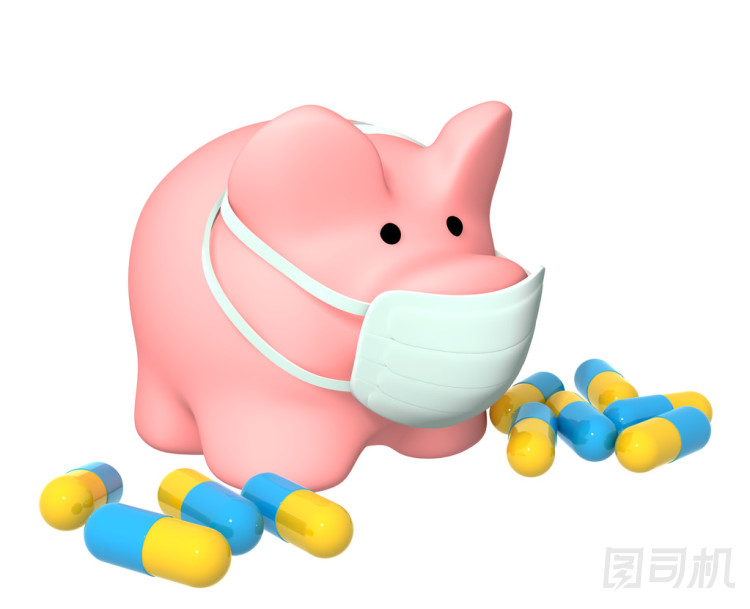 流行的豬流感圖片
