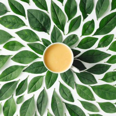 杯上綠色的樹葉背景圖片