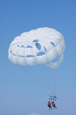 帆傘運(yùn)動(dòng)