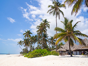 在帕杰，桑给巴尔岛的海滩