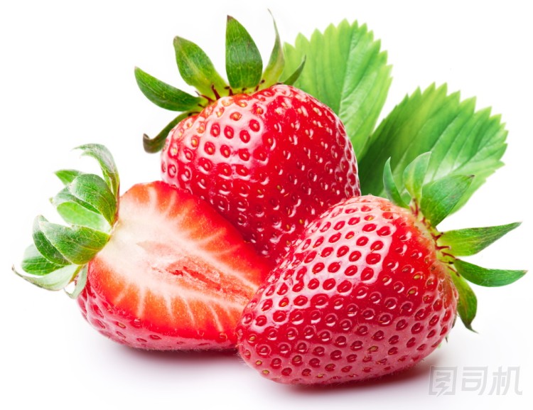 草莓葉.圖片