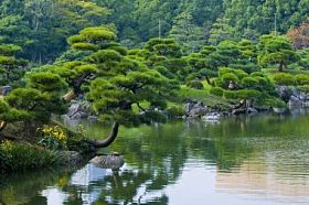 日本花园图片