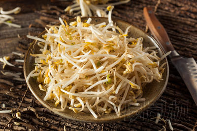 生健康白色豆芽圖片