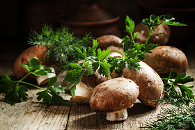Royal brown mushroom with a small欧芹和莳萝