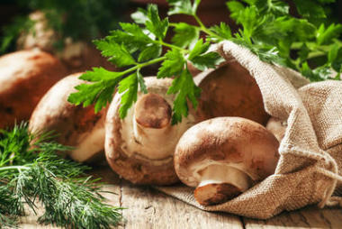 蘑菇在麻布袋照片