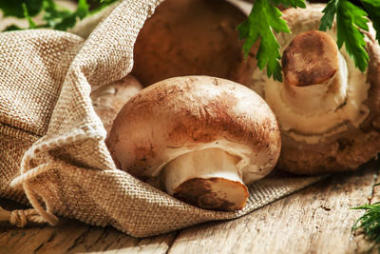 蘑菇在麻布袋图片