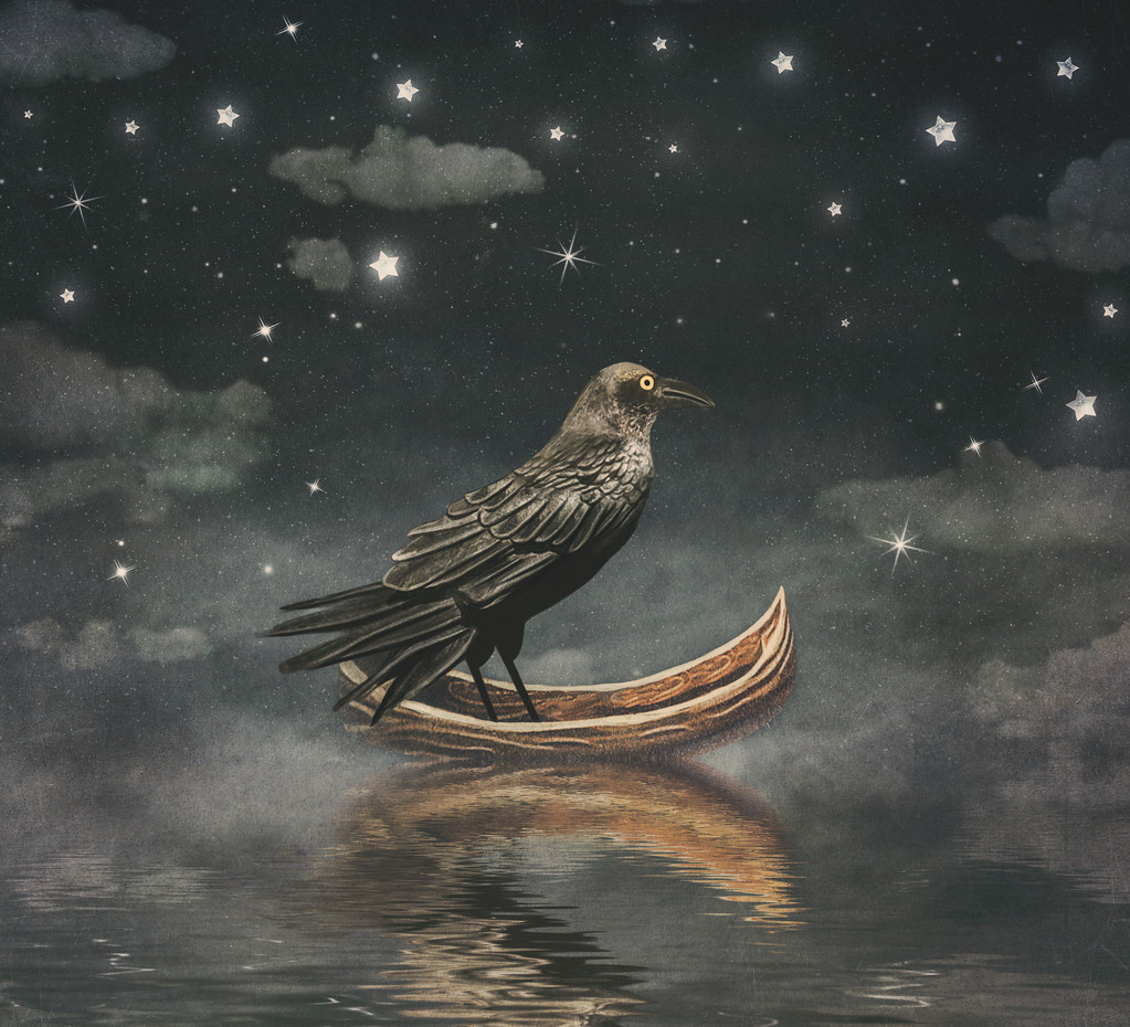 黑乌鸦在一条船在河里神奇的夜晚，插画艺术
