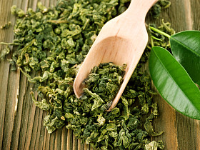 绿茶 绿茶照片