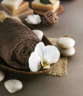 spa 护理图片