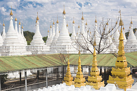 散打穆尼塔图片