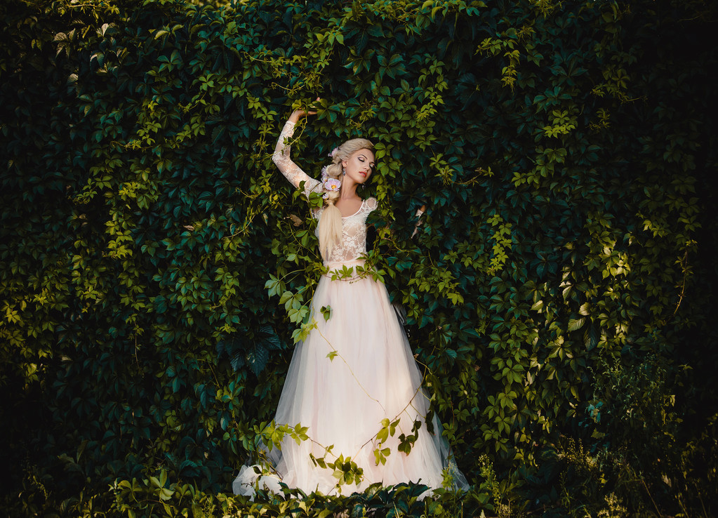 美丽的伯爵夫人 美丽的伯爵夫人