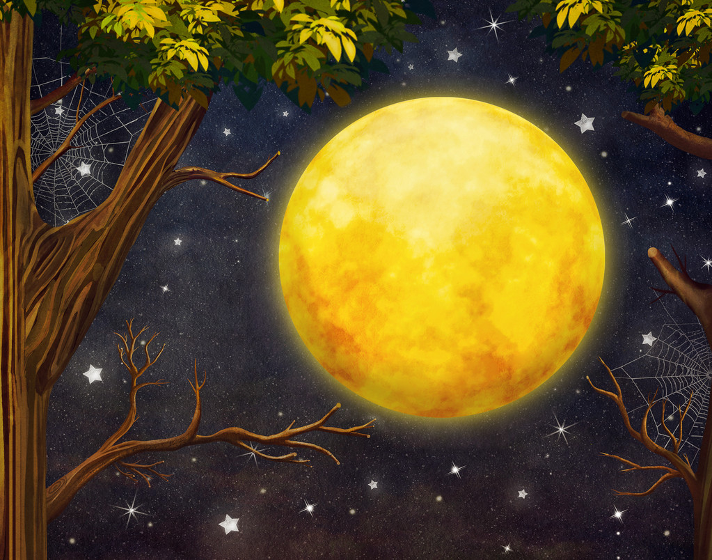 树和星星在夜空的满月插图