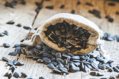 向日葵種子的帆布袋