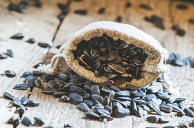 向日葵种子的帆布袋