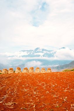 红土地，云南省中国图片