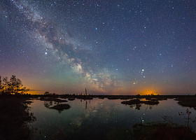 星夜在沼泽照片